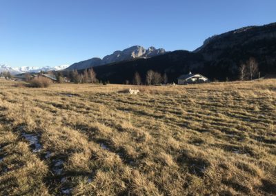 plateau de solaison en automne, herbe rase