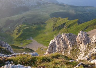 cenise et les arrêtes vertes