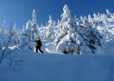 Skieur dans un paysage rempli de neige
